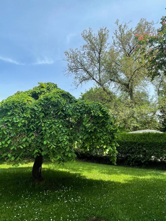 Villa Mura Gite Luxe Avec Piscine Et Spa Campagne Et Grand Air Nouvelle Aquitaine Correze Neuvic  エクステリア 写真